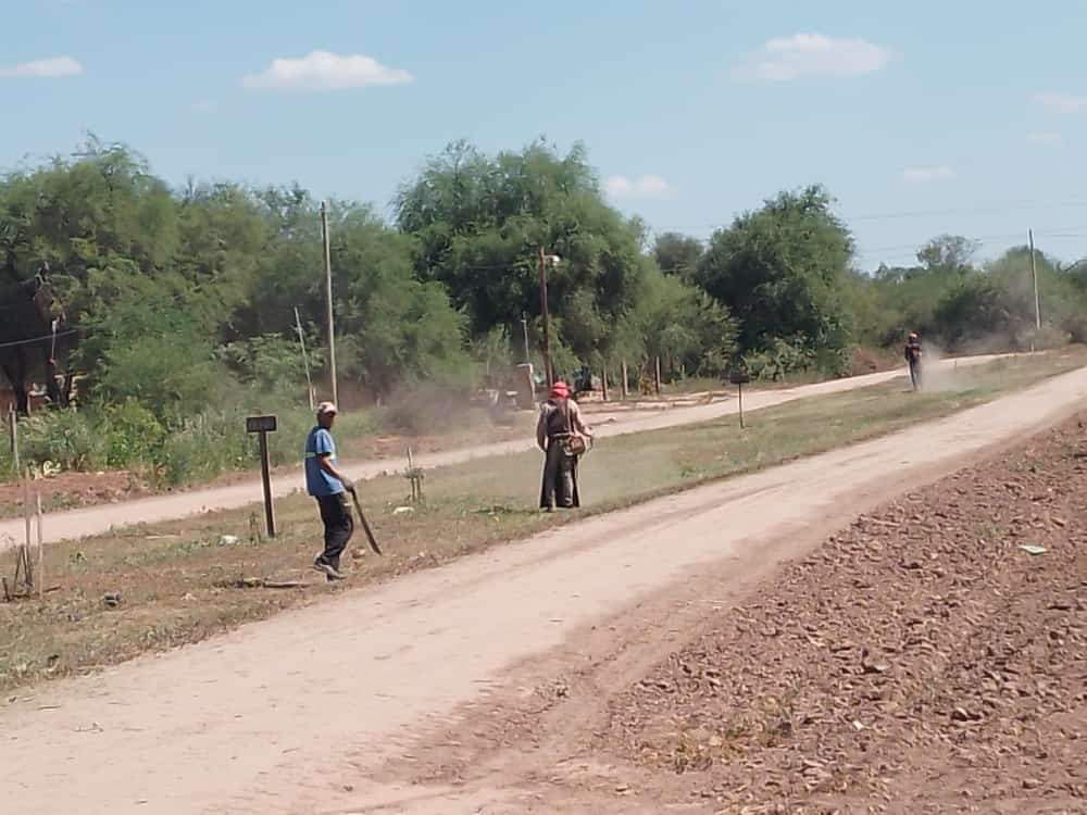 EL MUNICIPIO LOCAL CONTINÚA CON LOS TRABAJOS DE LIMPIEZA EN LA AVENIDA PTE. ALFONSÍN. 