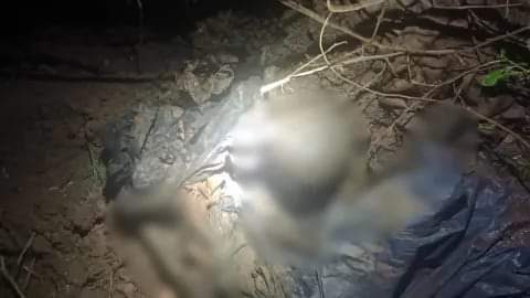 ENCUENTRAN SUPUESTOS RESTOS ÓSEOS HUMANOS EN UN DESCAMPADO CERCANO AL VIVERO MUNICIPAL DE RESISTENCIA.