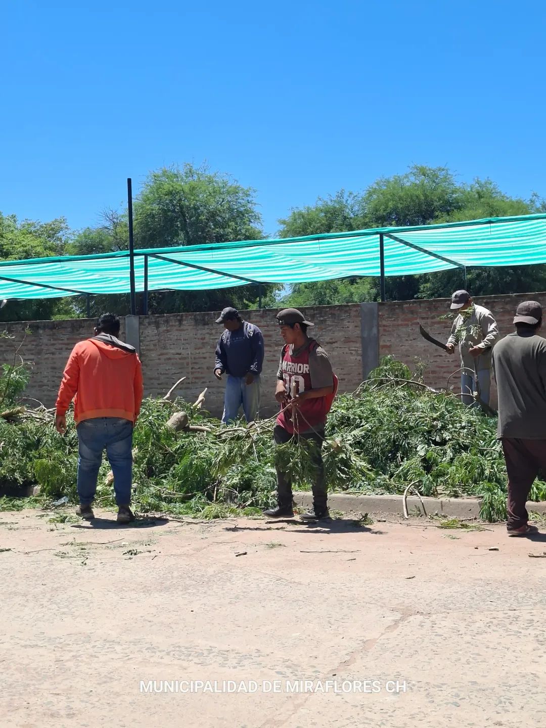 TRABAJOS DE LIMPIEZA Y RECOLECCIÓN DE RAMAS EN EL CENTRO COMERCIAL DE MIRAFLORES. 