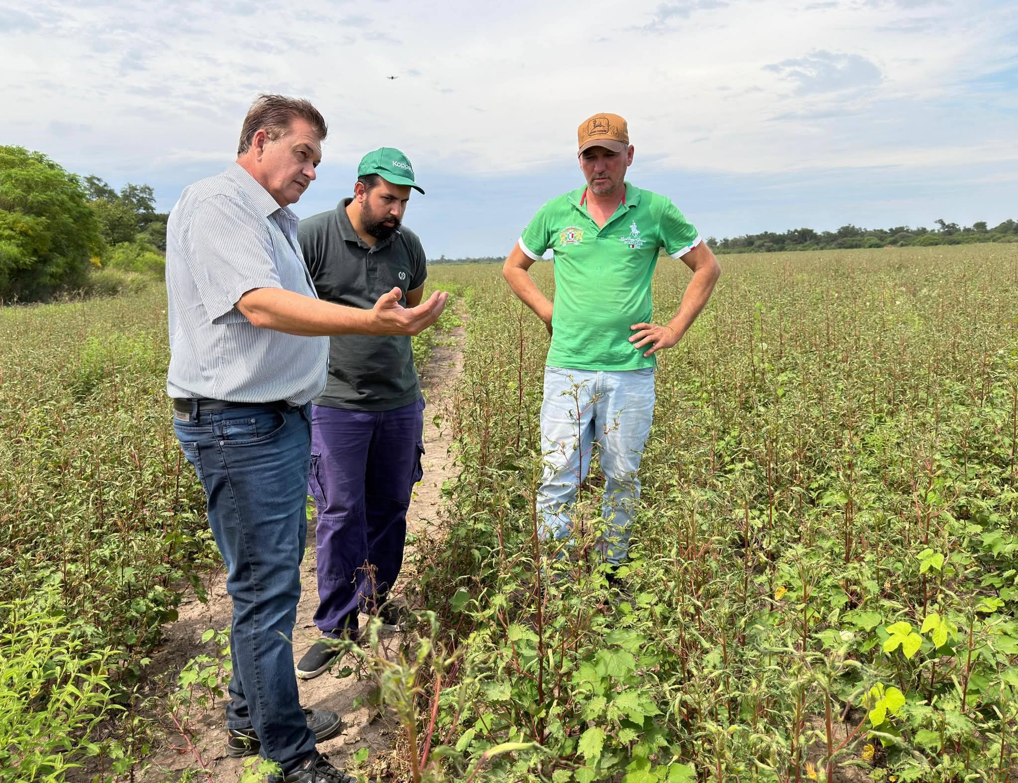 LAS BREÑAS: EL GOBIERNO PROVINCIAL ENDURECE CONTROLES CONTRA EL USO DE HERBICIDAS PROHIBIDOS.