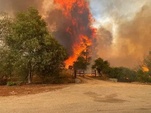 CHILE DECRETÓ EL ESTADO DE EXCEPCIÓN POR LOS INCENDIOS FORESTALES.