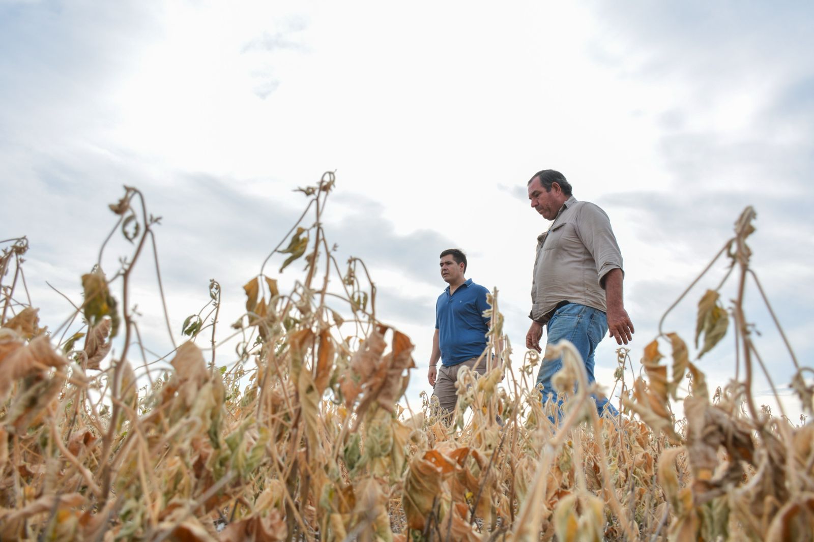 ALTAS TEMPERATURAS: HALAVACS RECORRIÓ LAS ZONAS MÁS AFECTADAS.