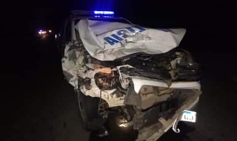 ANIMALES SUELTOS: UN PATRULLERO DE FUERTE ESPERANZA CHOCÓ UN CABALLO EN RUTA 9.