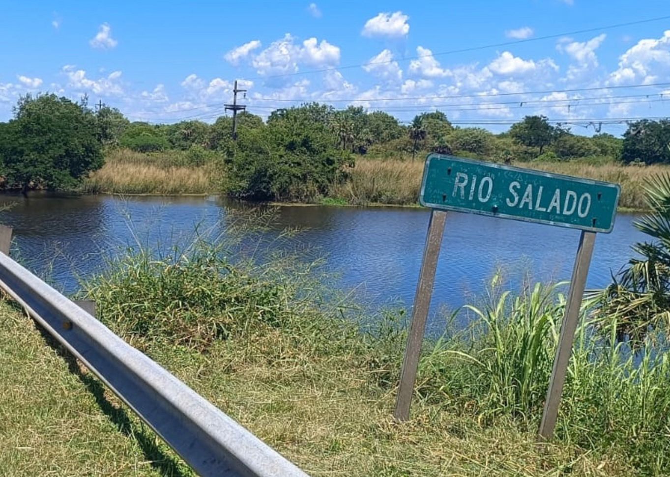 ADMINISTRACI&Oacute;N PROVINCIAL DEL AGUA: DESV&Iacute;O CONTROLADO DEL R&Iacute;O NEGRO BENEFICIA A LA PRODUCCI&Oacute;N GANADERA.