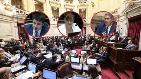 REFORMA LABORAL: COMO VOTARON LOS SENADORES CHAQUE&Ntilde;OS?. 