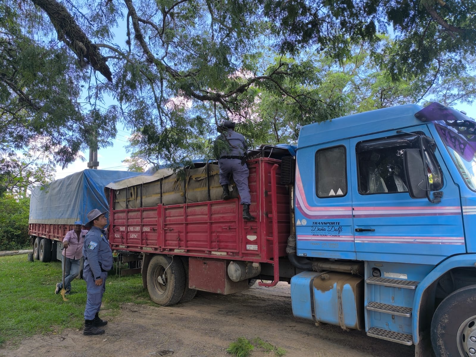 GENERAL SAN MART&Iacute;N: SECUESTRAN CAMI&Oacute;N CON 71 TONELADAS DE MA&Iacute;Z POR IRREGULARIDADES EN LA DOCUMENTACI&Oacute;N.