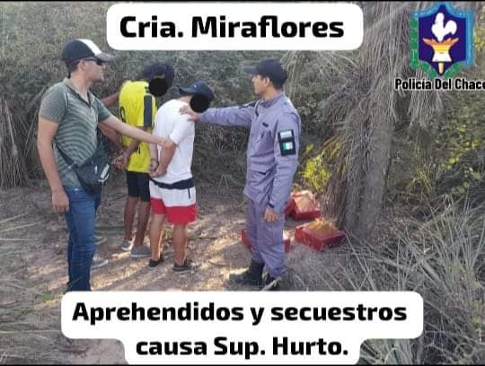 MIRAFLORES: DELINCUENTES ENTRAN Y SUSTRAEN CAJAS DE CERÁMICAS EN UNA VIVIENDA DE BARRIO NORTE. FUERON DETENIDOS . 
