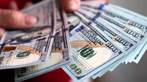 EL DOLAR BLUE MARCA SU SEGUNDA CAÍDA MENSUAL CONSECUTIVA: $ 980 PARA LA COMPRA Y 1.010 PARA LA VENTA.