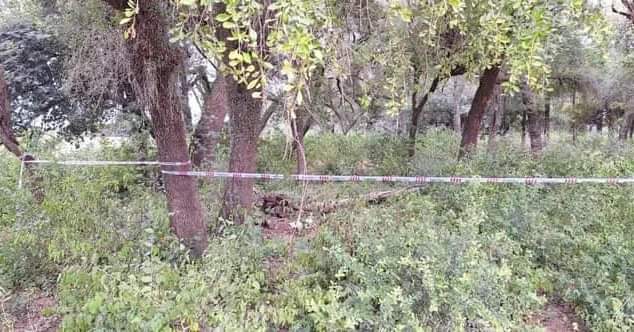 UN PUESTERO HABRÍA HALLADO RESTOS ÓSEOS HUMANOS EN UN CRUCE MUY CONOCIDO DE TRES ISLETAS.