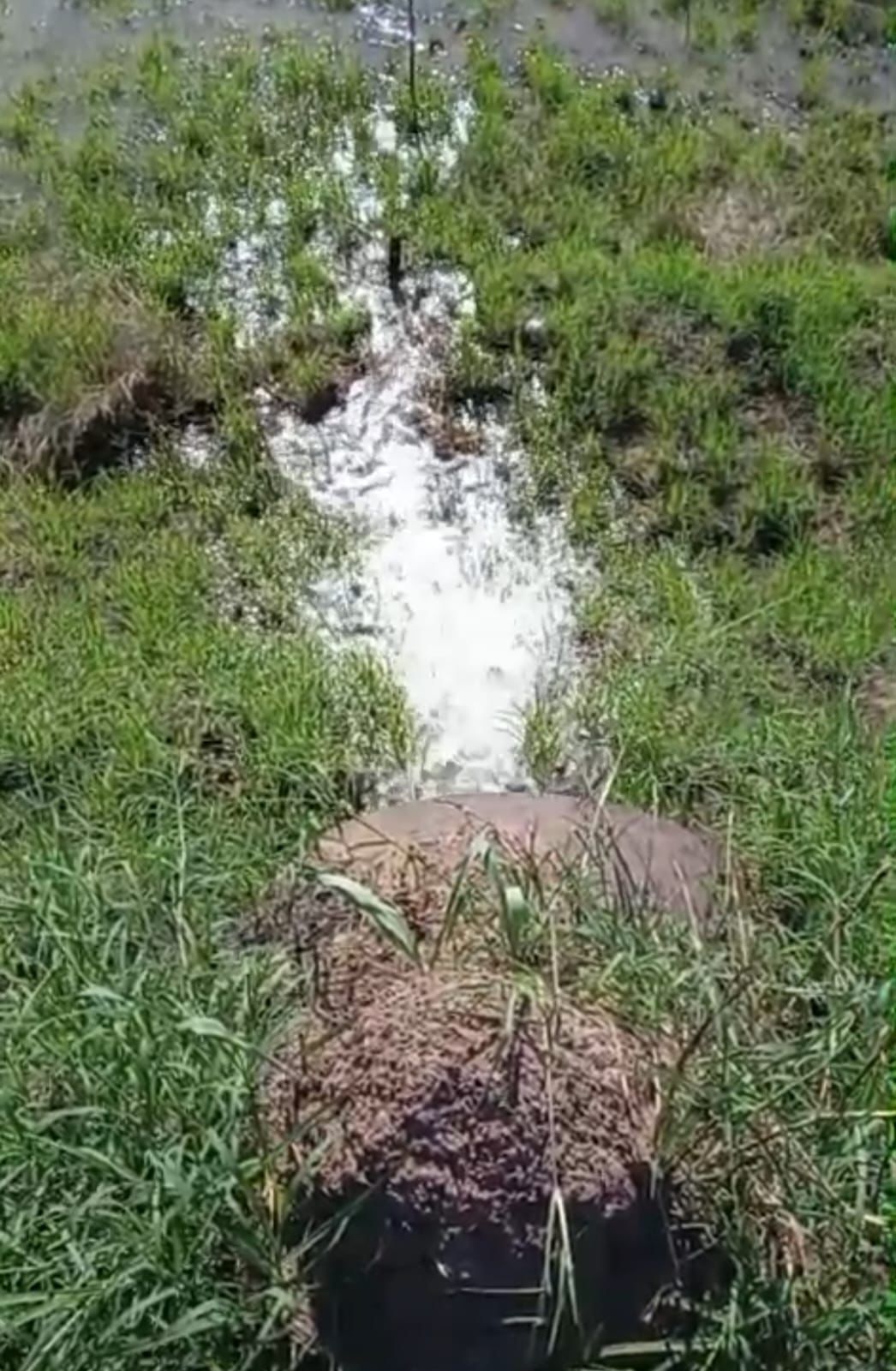 SAMEEP TRABAJA PARA RESTABLECER EL SERVICIO TRAS LA ROTURA DEL ACUEDUCTO NORTE.