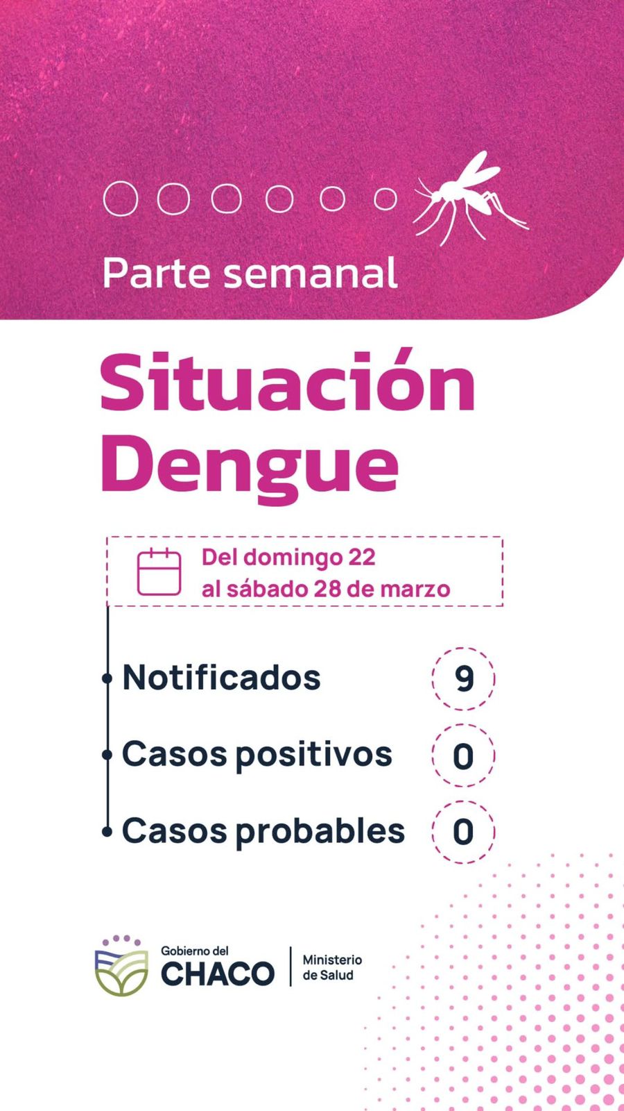 CHACO SIN CASOS DE DENGUE: SALUD INSISTE EN REFORZAR LA PREVENCI&Oacute;N.