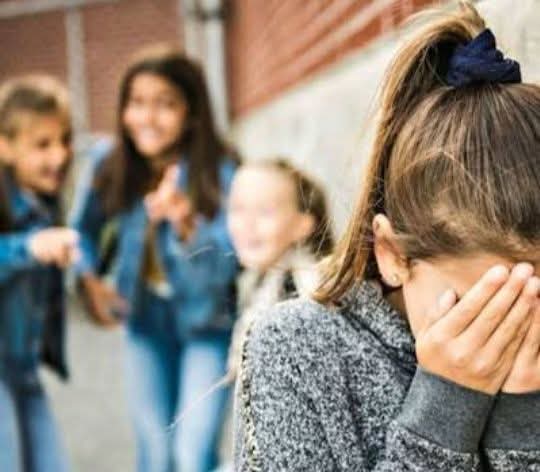 BULLYNG EN CHACO: CINCO PROYECTOS EN LA LEGISLATURA BUSCAN FRENAR LA VIOLENCIA ESCOLAR 