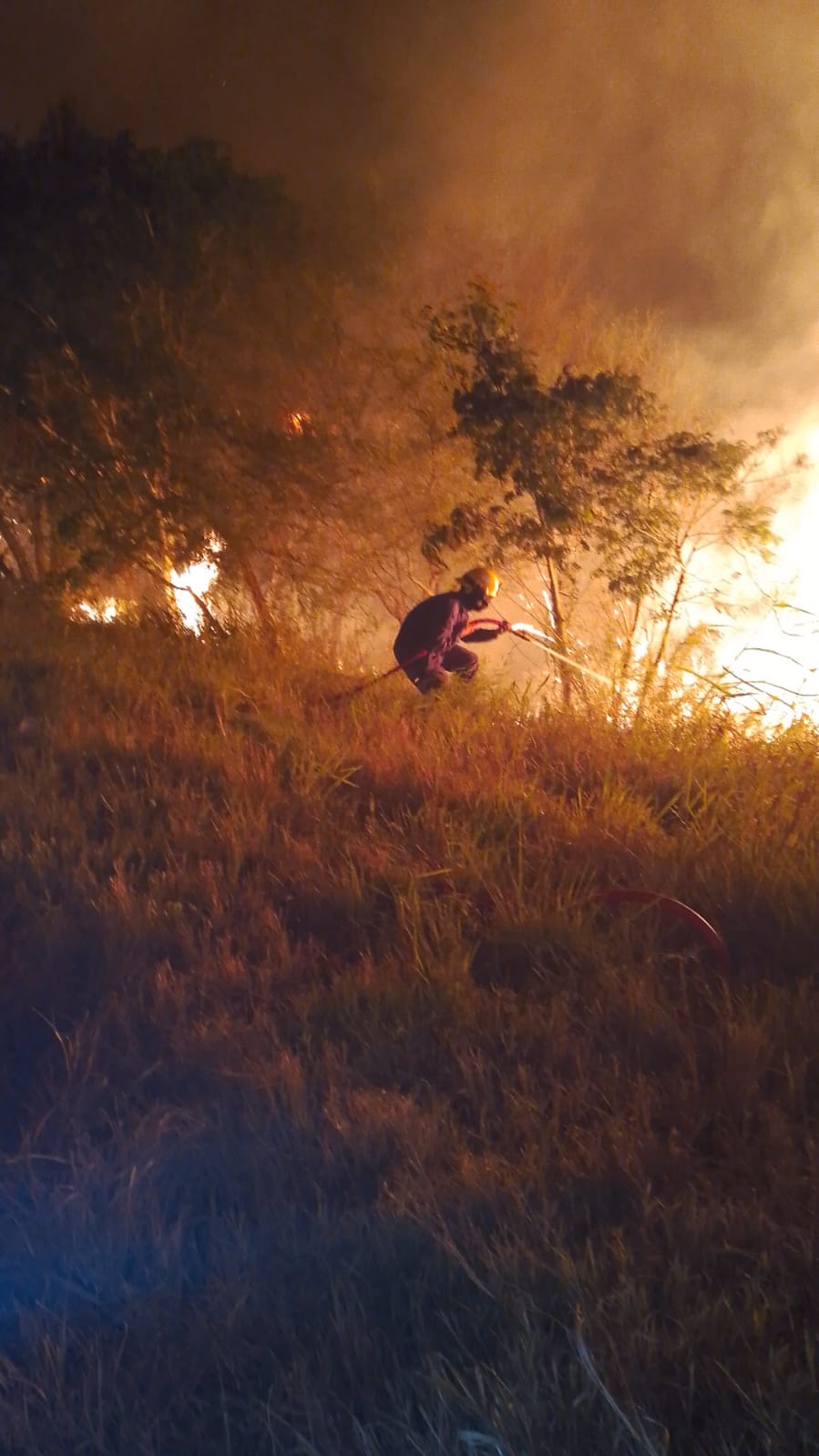 BOMBEROS CONTROLARON INCENDIO DE GRAN MAGNITUD SOBRE RUTA 11.