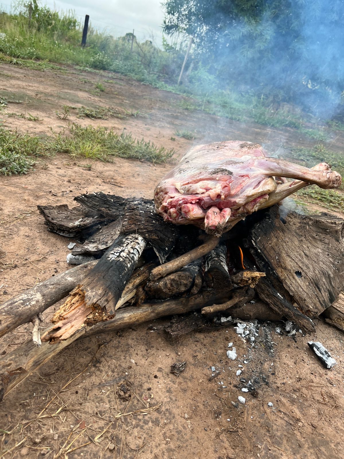 TRES ISLETAS: ALLANAMIENTO POR HURTO DE GANADO TERMIN&Oacute; CON SECUESTROS Y UN DETENIDO