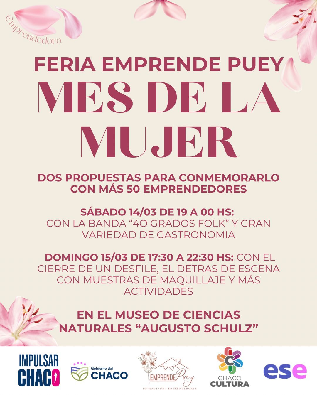 ESTE FIN DE SEMANA SE REALIZAR&Aacute; LA FERIA &ldquo;EMPRENDE PUEY&rdquo; EN EL MUSEO AUGUSTO SCHULZ.