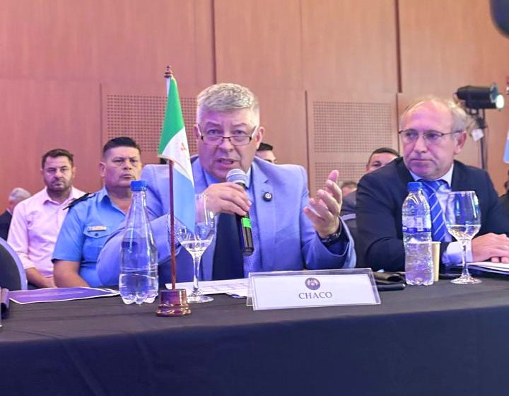 CONSEJO DE SEGURIDAD INTERIOR: MATKOVICH PIDI&Oacute; REFORZAR EL CONTROL DEL ESPACIO A&Eacute;REO NORTE.