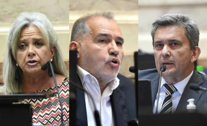 VOTO CHAQUEÑO: PILATTI VERGARA Y RODAS VOTARON EN CONTRA DE FICHA LIMPIA, ZIMMERMANN A FAVOR.