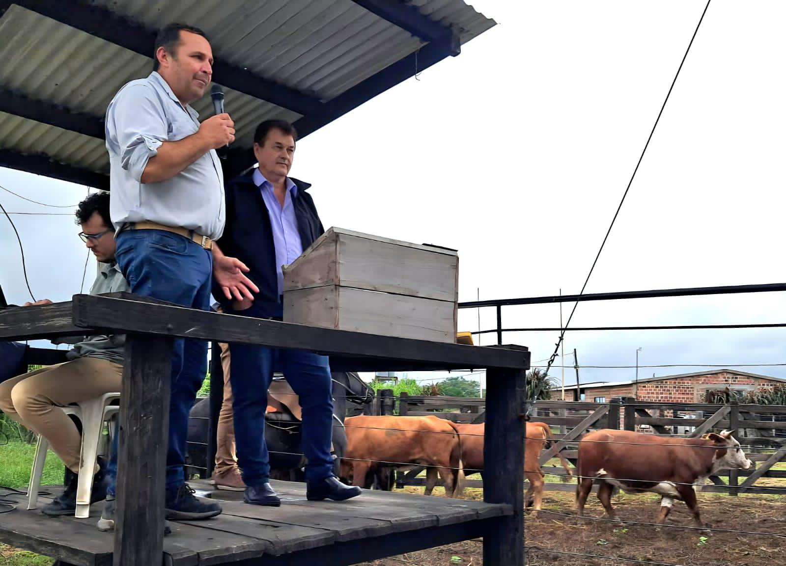 REMATES Y CAPACITACIONES PARA FORTALECER A LOS PRODUCTORES CHAQUEÑOS.