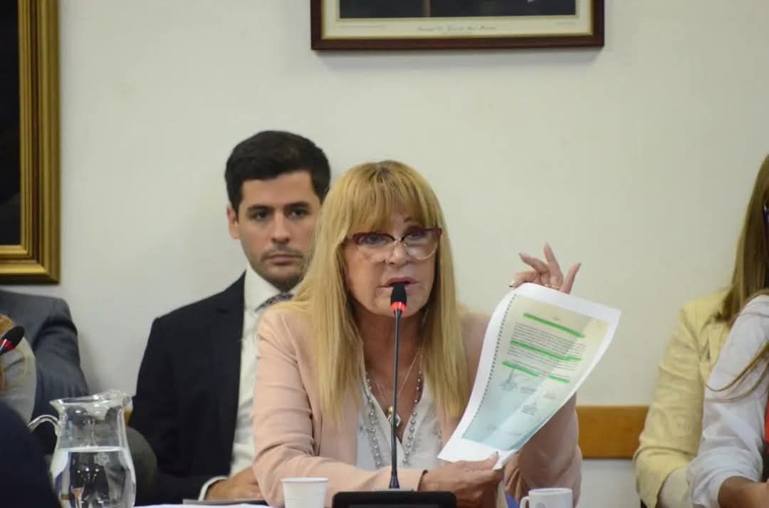 LA FISCALÍA PIDIÓ 5 AÑOS DE PRISIÓN PARA AIDA AYALA POR 