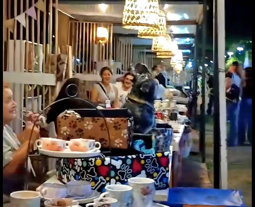 SE REALIZÓ EXITOSAMENTE LA 1º EXPO DEL EMPRENDEDOR CHAQUEÑO A CIELO ABIERTO.