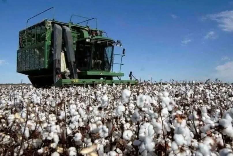 EL CONSEJO FEDERAL AGROPECUARIO SE REÚNE EN RESISTENCIA.