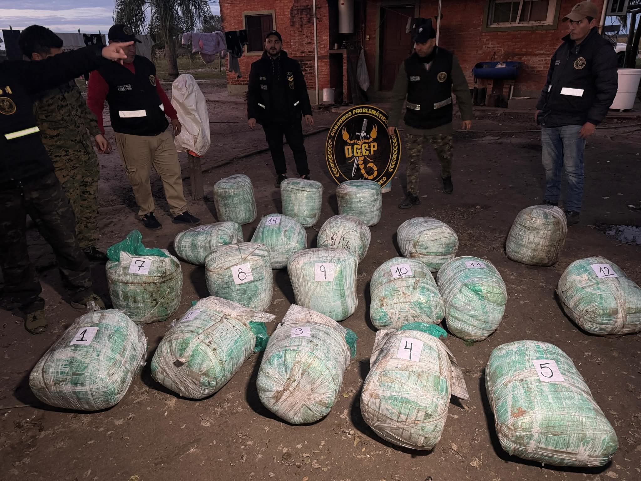 DURO GOLPE A LAS NARCO BANDAS: MÁS DE 230 KILOS DE MARIHUANA INCAUTADOS, TRAS ALLANAMIENTO EN UN CAMPO EN LA LEONESA.