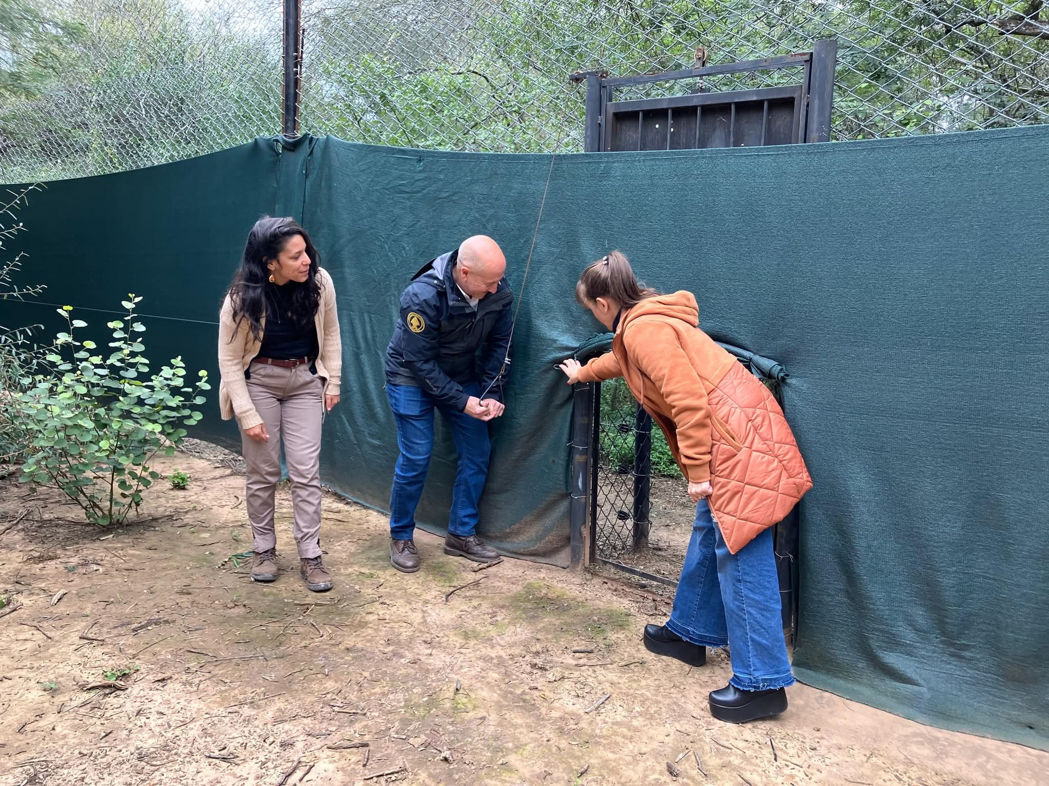 PARQUE NACIONAL EL IMPENETRABLE: LA VICEGOBERNADORA SCHNEIDER ACOMPAÑÓ LA LIBERACIÓN DE LA YAGUARETÉ “QUIYOC”.