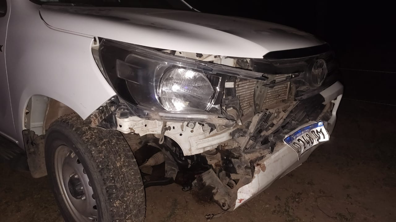 MIRAFLORES: ACIDENTE DE TRÁNSITO SOBRE RUTA PROVINCIAL N°9 EN EL PARAJE YAPEYÚ. UNA CAMIONETA COLISIONÓ CON UN ANIMAL PORCINO.