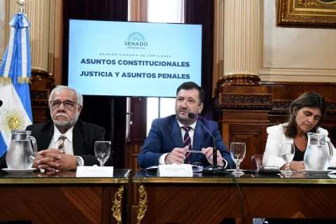 EL SENADO RETOMA LA DISCUSIÓN EN COMISIÓN DE UN PROYECTO PARA CAMBIAR LAS PENAS POR SUSTRACCIÓN DE MENORES.