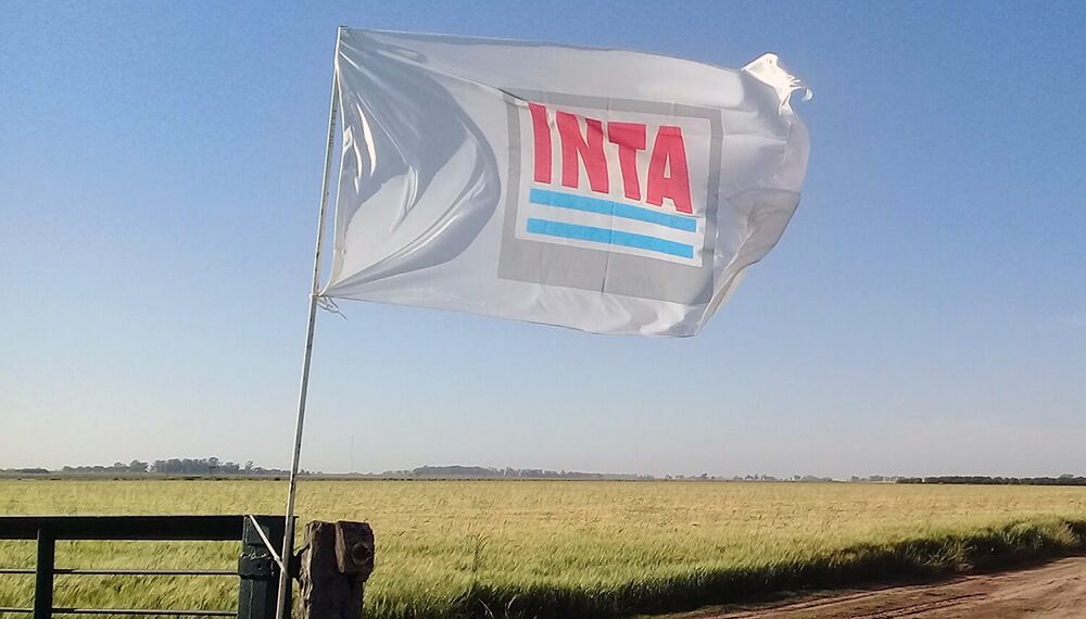 EL INTA RESPALDÓ EL PROCESO DE ACTUALIZACIÓN DEL OTBN.