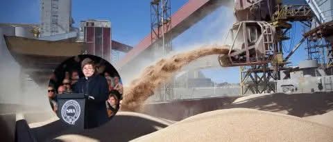 CÓMO QUEDARÁN LOS NUEVOS IMPUESTOS A LA CARNE, SOJA Y RESTO DE LOS GRANOS.