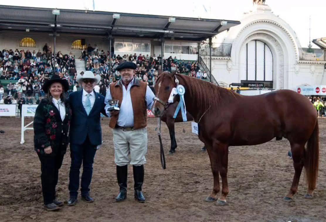 CHACO HIZO HISTORIA EN PALERMO: CABAÑAS CHAQUEÑAS BRILLARON EN LA EXPO RURAL 2025.
