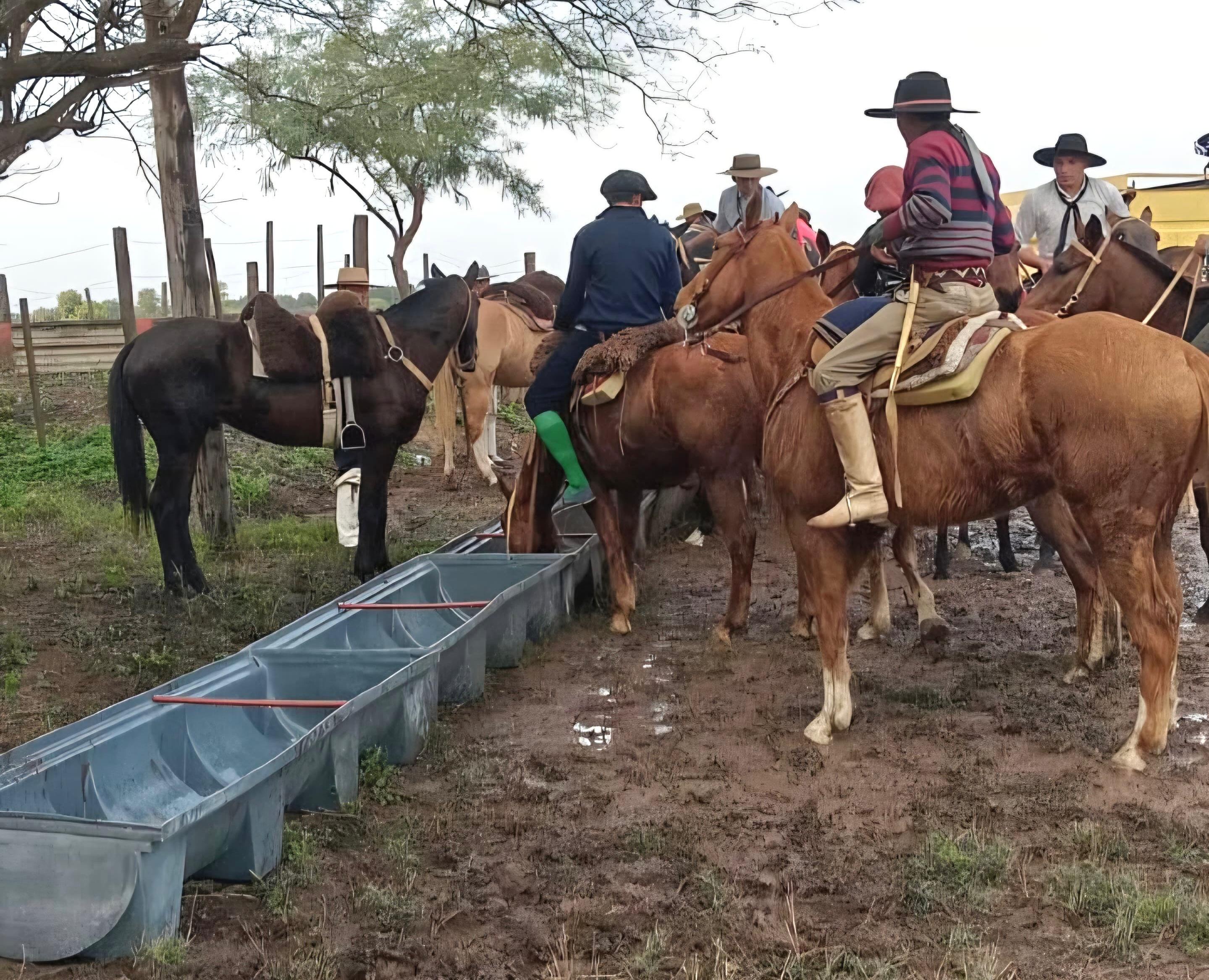 EL PROGRAMA PROVINCIAL “DEJANDO HUELLAS” ACOMPAÑÓ CON ÉXITO LA CABALGATA DE LA FE.