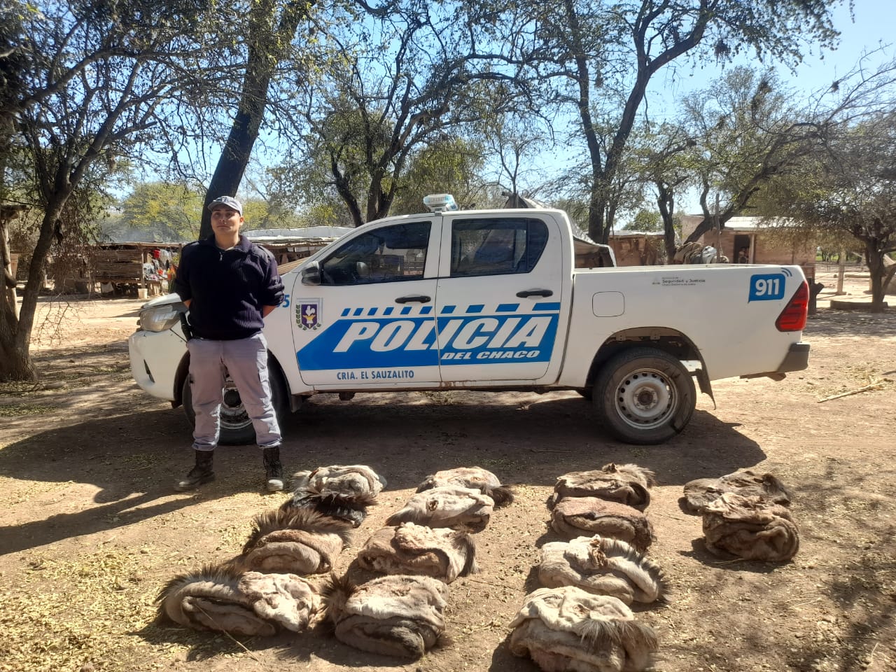 AGENTES POLICIALES INTERCEPTAN CAMIONETA CON CARNE VACUNO NO APTA PARA CONSUMO HUMANO. 
