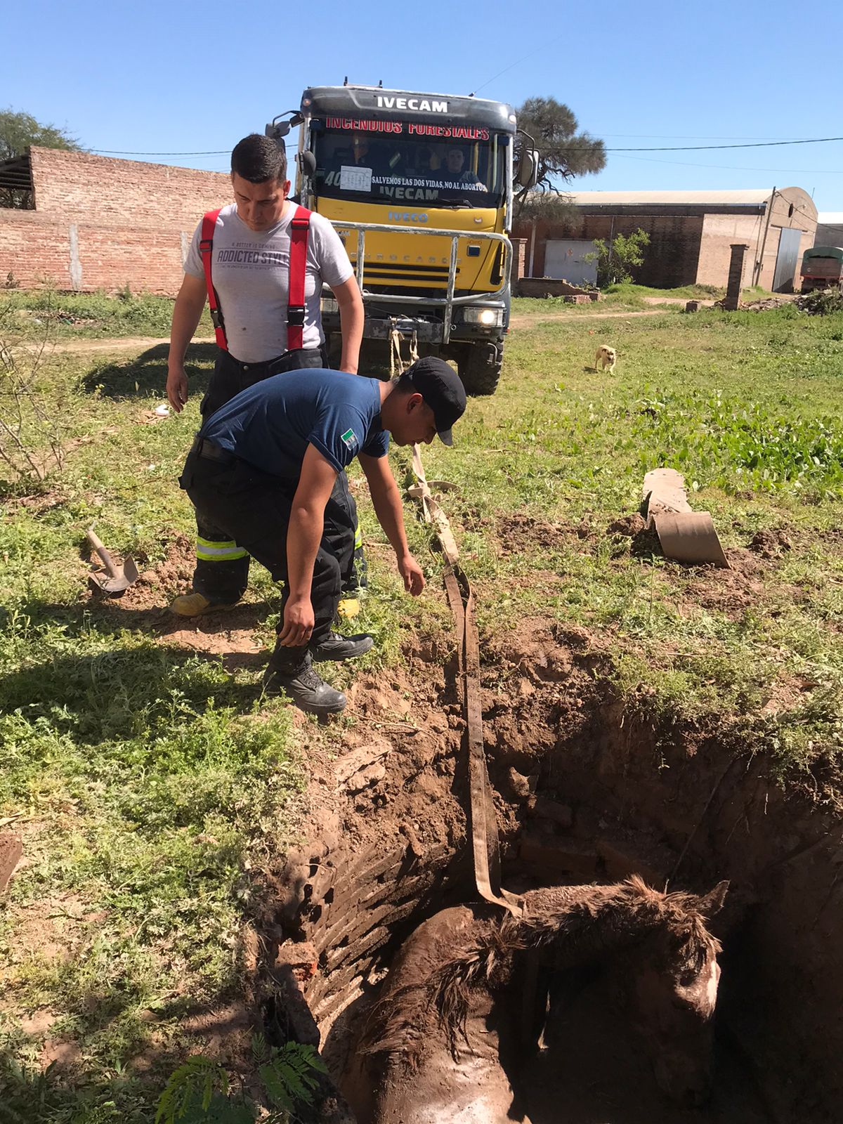 BOMBEROS: RESCATARON UN ANIMAL EQUINO DEL INTERIOR DE UN POZO.