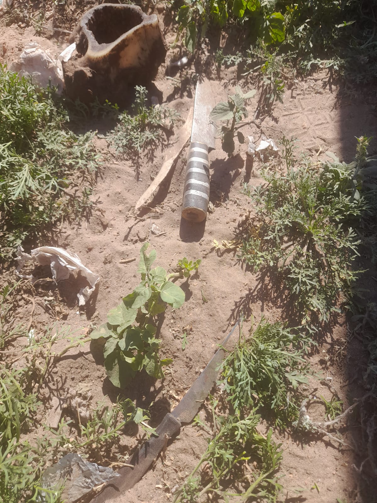 MIRAFLORES: DESORDEN EN LOTE 88: 