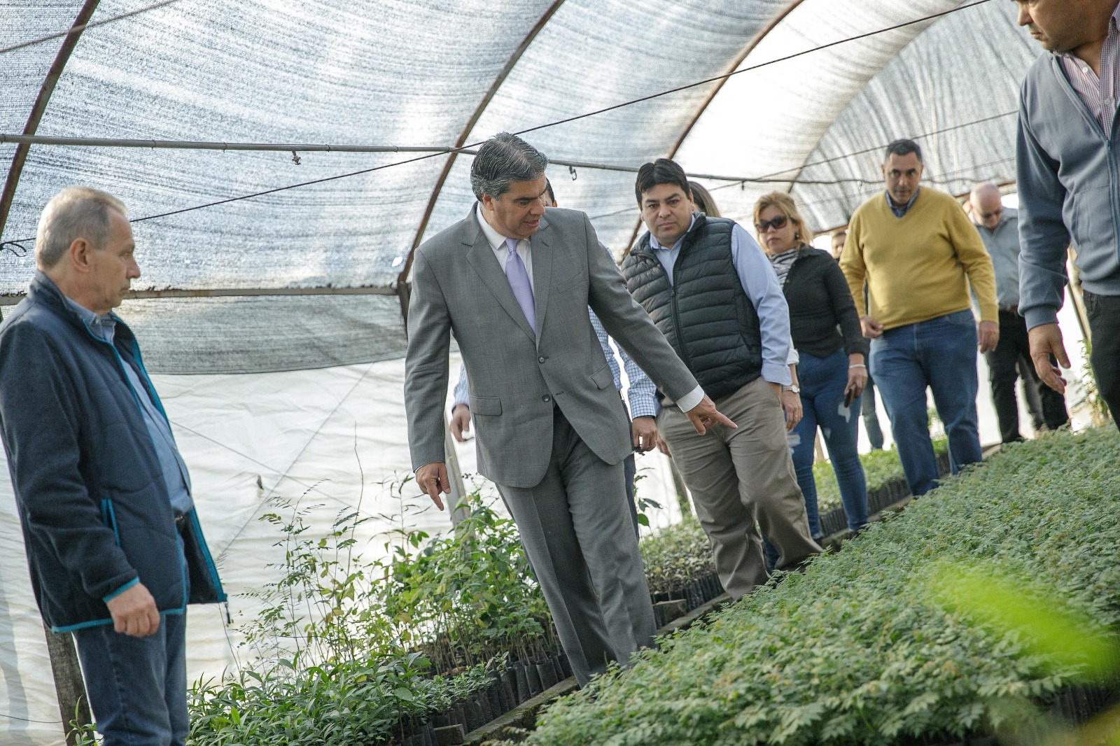 SUSTENTABILIDAD AMBIENTAL: CAPITANICH INAUGURÓ UN JARDÍN CLONAL QUE PRODUCIRÁ EUCALIPTOS PARA LA REFORESTACIÓN Y EL SECTOR INDUSTRIAL.