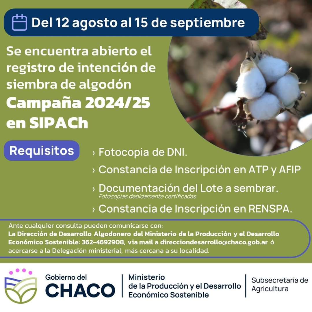PRODUCCIÓN: SE ABRE LA INSCRIPCIÓN PARA PRODUCTORES ALGODONEROS PARA LA CAMPAÑA 2024/25.