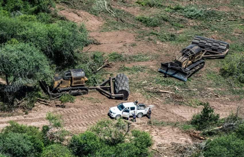 POR ORDEN DE LA JUSTICIA FEDERAL, QUEDARON SUSPENDIDOS LOS DESMONTES POR TRES MESES. 