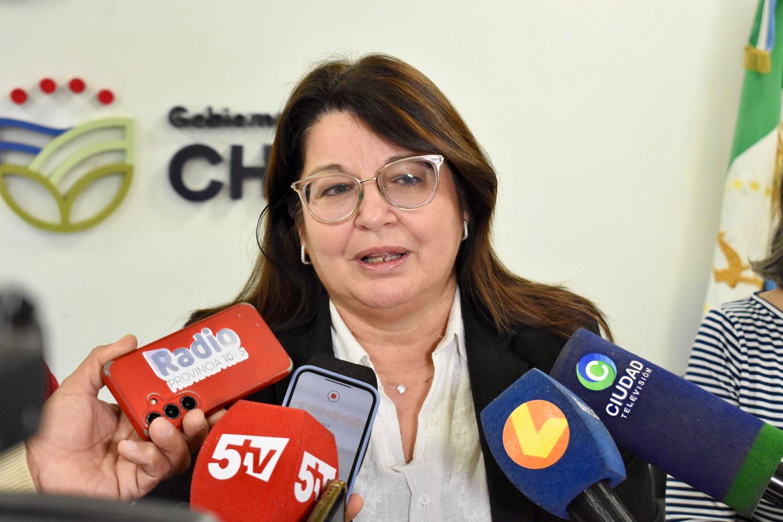 CHACO, PRIMERA PROVINCIA EN ACTUALIZAR LAS PRÁCTICAS DE JUNTAS EVALUADORAS DE DISCAPACIDAD.