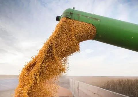 LA AGROEXPORTACIÓN REGISTRÓ EN JULIO UN INGRESO DE DÓLAR RECORD.