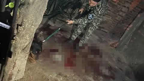 UN ROTTWEILER ATACÓ A SU DUEÑA EN RESISTENCIA: LA MUJER DEBIÓ SER HOSPITALIZADA.