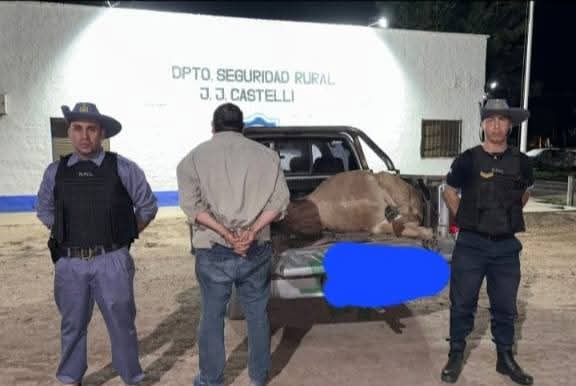POLICÍA RURAL JJ CASTELLI, NO DA TREGUA A LOS CUATREROS: UNA PERSONA DETENIDA, DOS PROFUGOS, SECUESTRO DE UNA CAMIONETA y UN ANIMAL VACUNO SACRIFICADO.