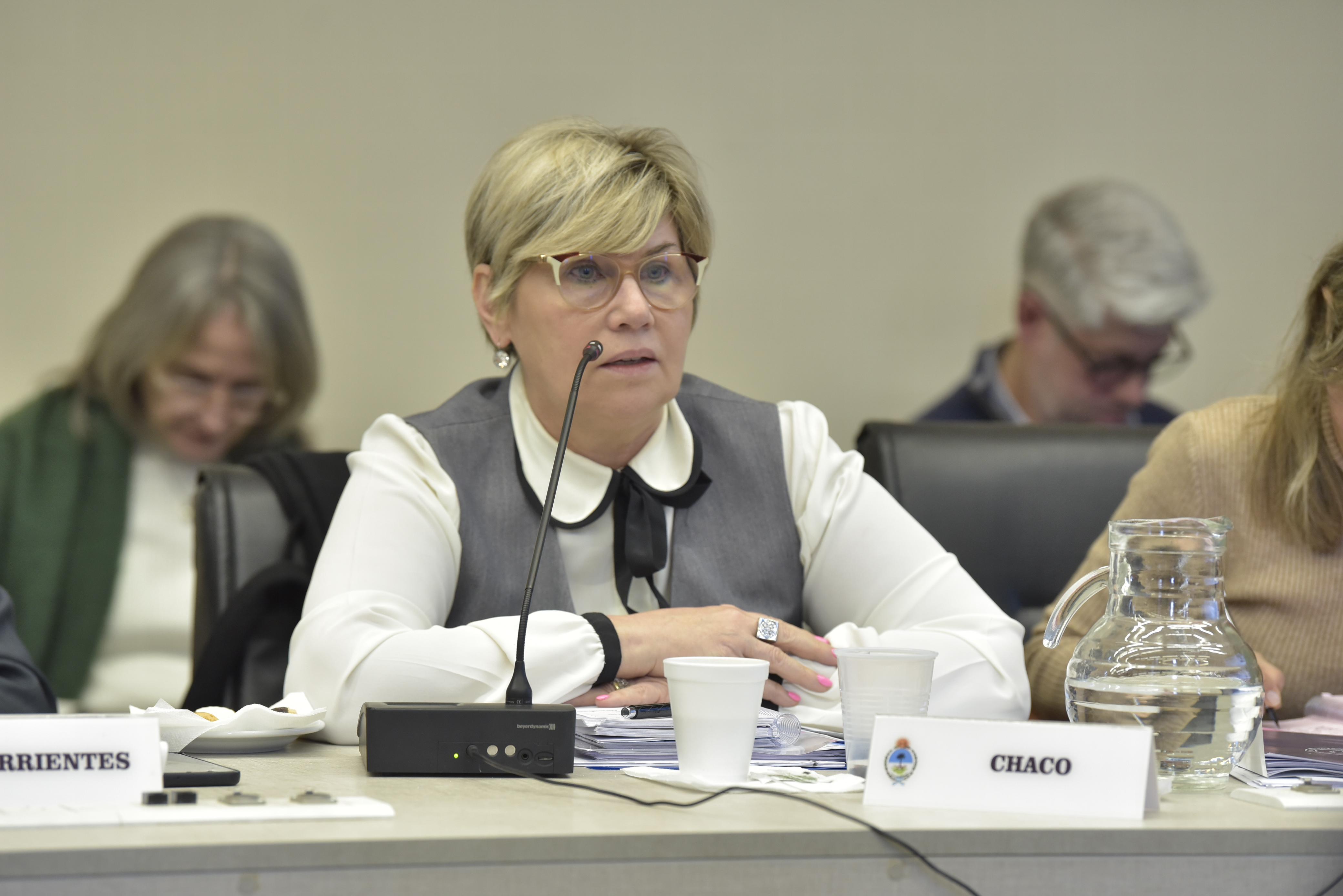 CON LA PARTICIPACIÓN DE CHACO, EL CONSEJO FEDERAL DE EDUCACIÓN AVANZÓ EN NUEVOS MARCOS DE REFERENCIA PARA LA EDUCACIÓN TÉCNICO PROFESIONAL.