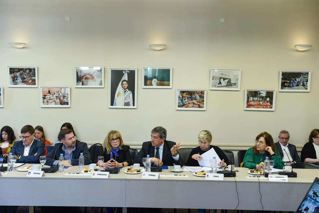 CONSEJO FEDERAL DE EDUCACIÓN: LA MINISTRA NAIDENOFF DIO PRECISIONES SOBRE LA PROPUESTA DE FORMACIÓN PROFESIONAL DOCENTE.