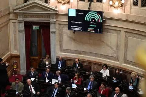 EMERGENCIA EN DISCAPACIDAD: EL SENADO APROBÓ EL RECHAZO AL VETO DE JAVIER MILEI.