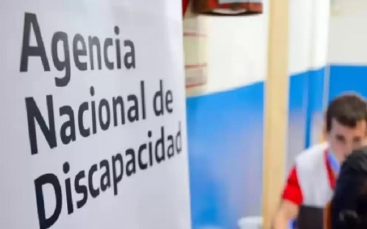 LA ANDIS INFORMA QUE SIGUEN REACTIVANDO PENSIONES NO CONTRIBUTIVAS.