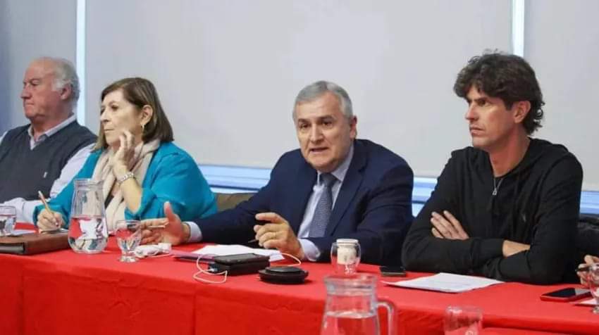 LA VICEPRESIDENTE DE LA UCR ADELANTÓ QUE 