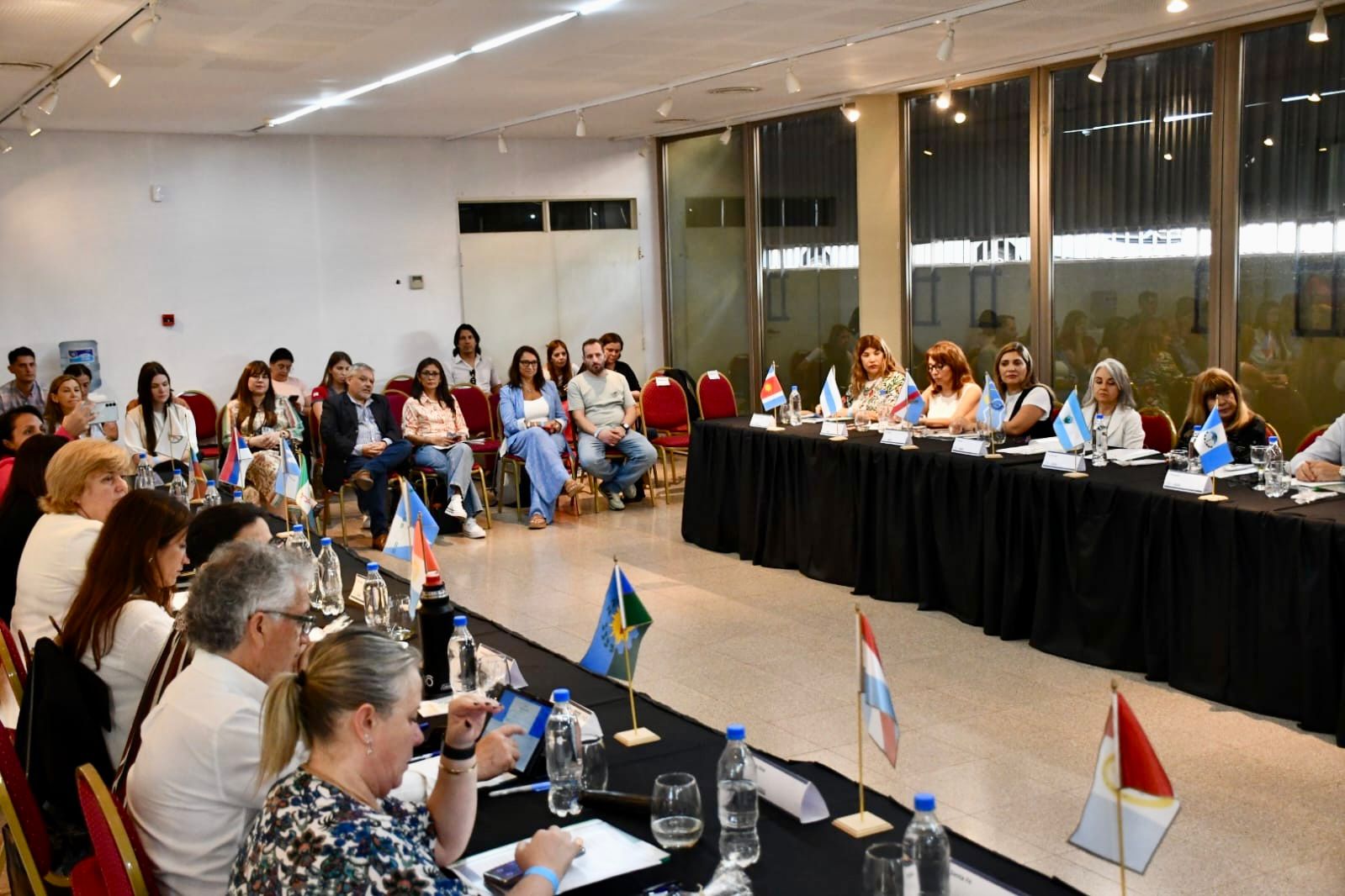 IPRODICH: “NO ESTÁ EN RIESGO LA VIGENCIA DE LOS PASES LIBRES EN EL TRANSPORTE PARA PERSONAS CON DISCAPACIDAD” DIJO MITOIRE.