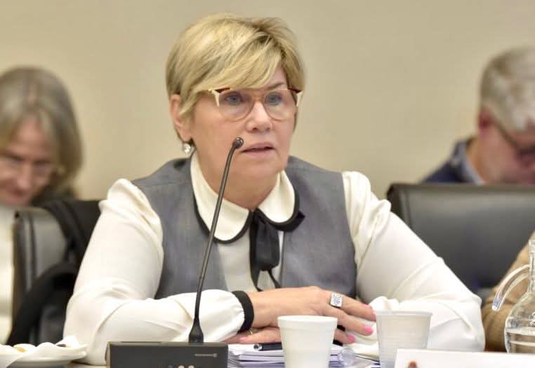 LA MINISTRA NAIDENOFF DESTACÓ LOS AVANCES EN LAS AULAS CON LAS ENTREGAS DE LIBROS PARA LOS TRES CICLOS DE NIVEL PRIMARIO.